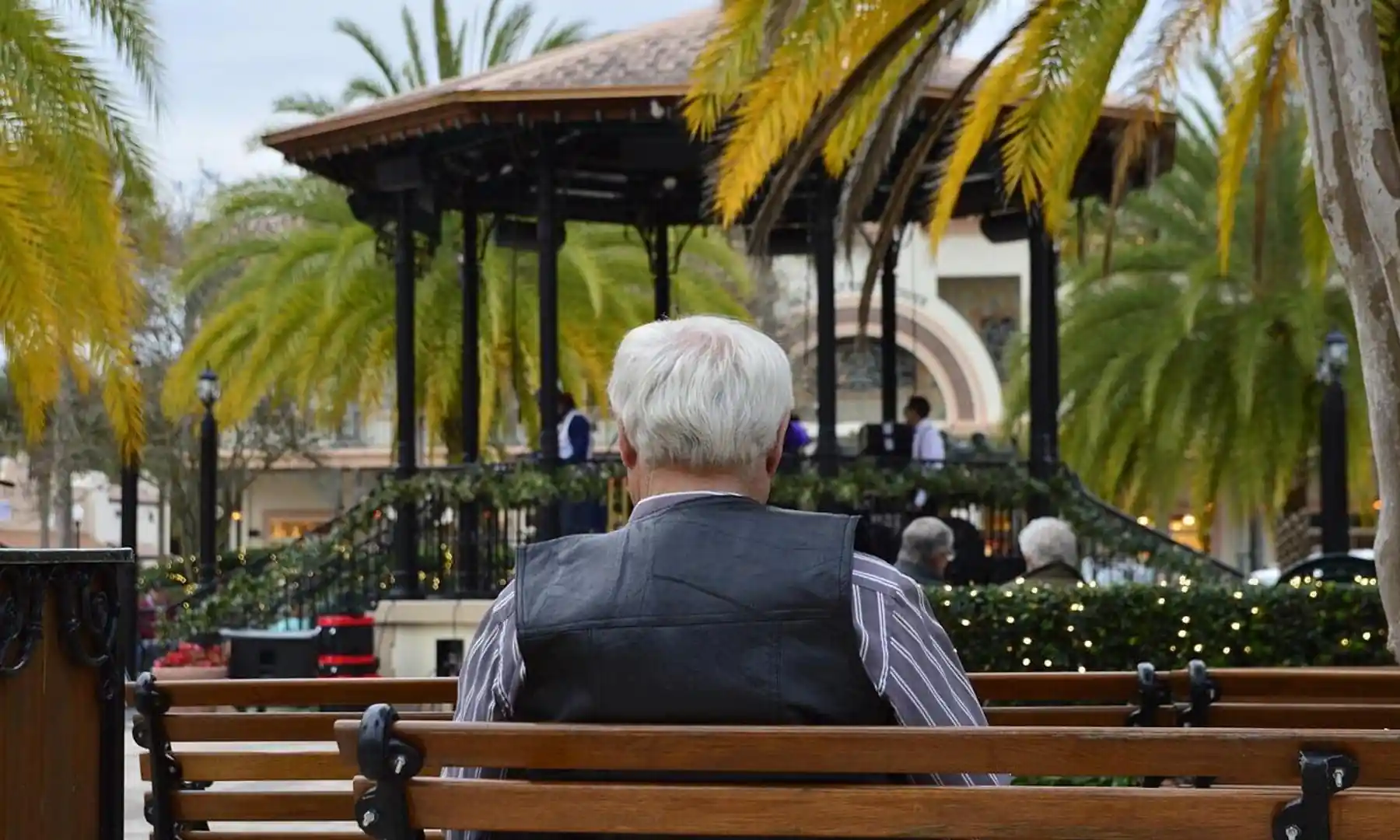 yaşlı adam bankta otururken