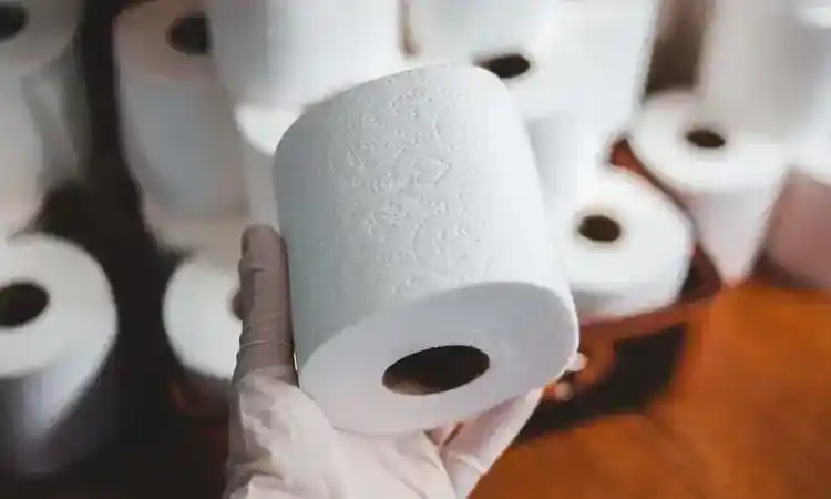 tuvalet kağıtları