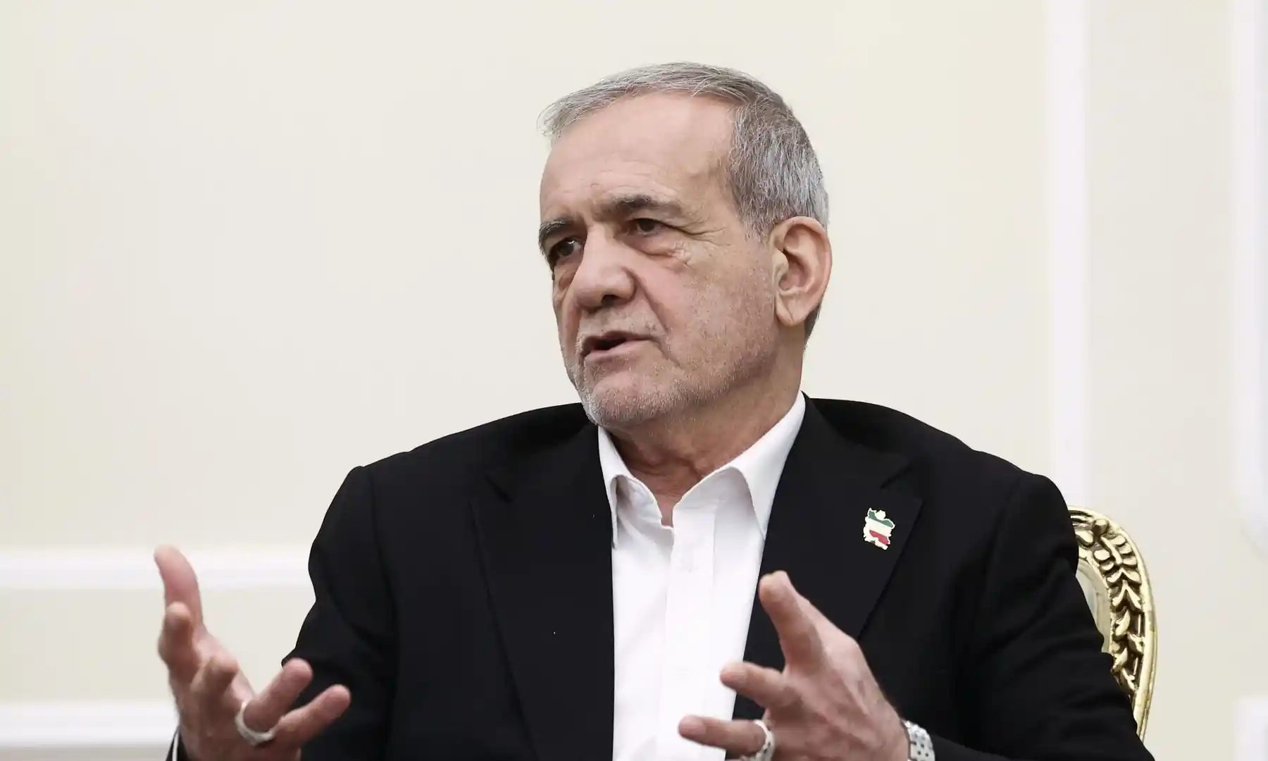 Mesud Pezeşkiyan konuşurken