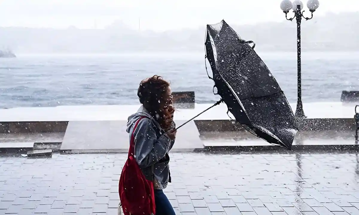 rüzgârda yamulan şemsiye